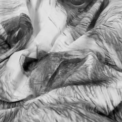 Housses De Couette|Carré Blanc Housse de couette réversible percale de coton Grizzli